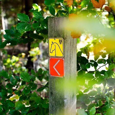 Kroneggerhof Altmelon