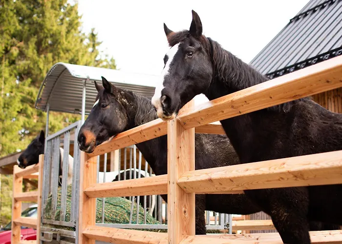 팜스테이 Kroneggerhof *