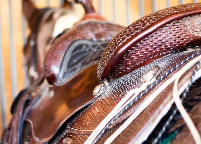 Kroneggerhof 팜스테이