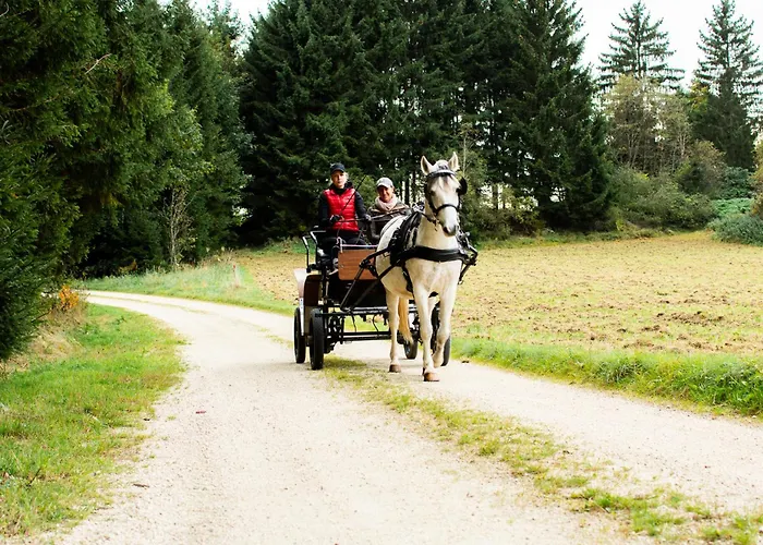 팜스테이 Kroneggerhof *