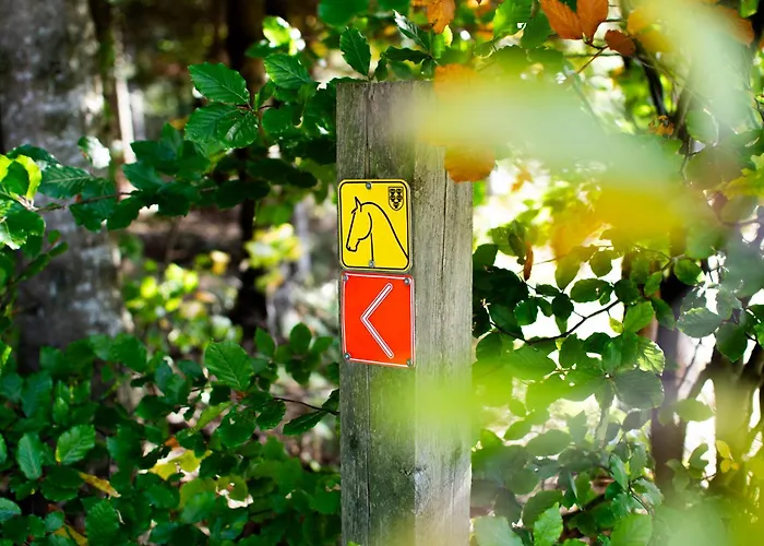 Kroneggerhof Altmelon