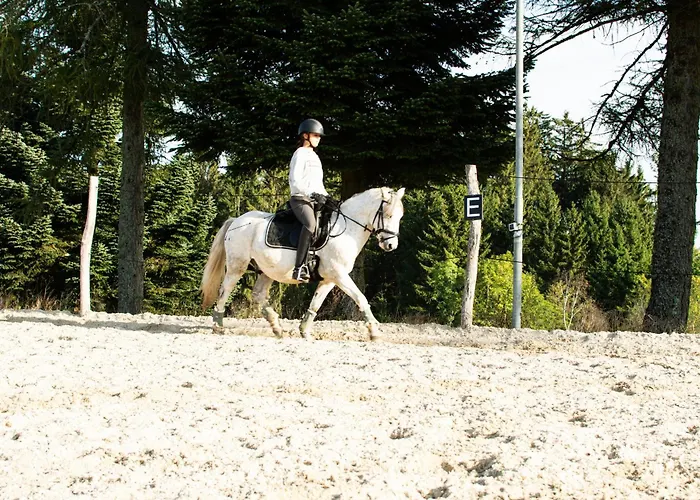 Kroneggerhof * Altmelon