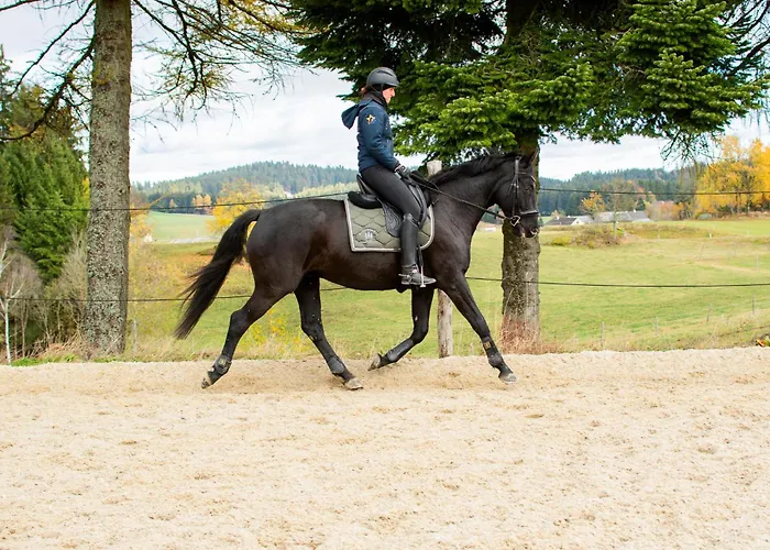 Kroneggerhof 팜스테이 *