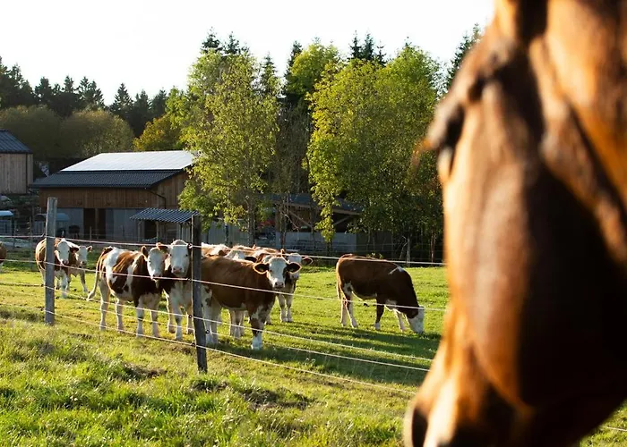 Kroneggerhof * Altmelon